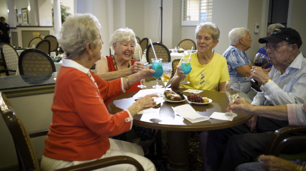 DVBB Full Cont. Care