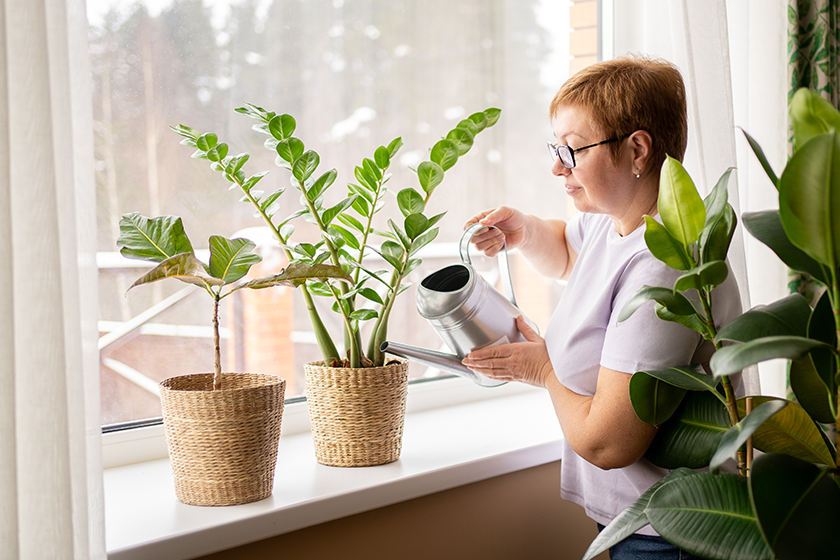 elderly-woman-waters-home-plants